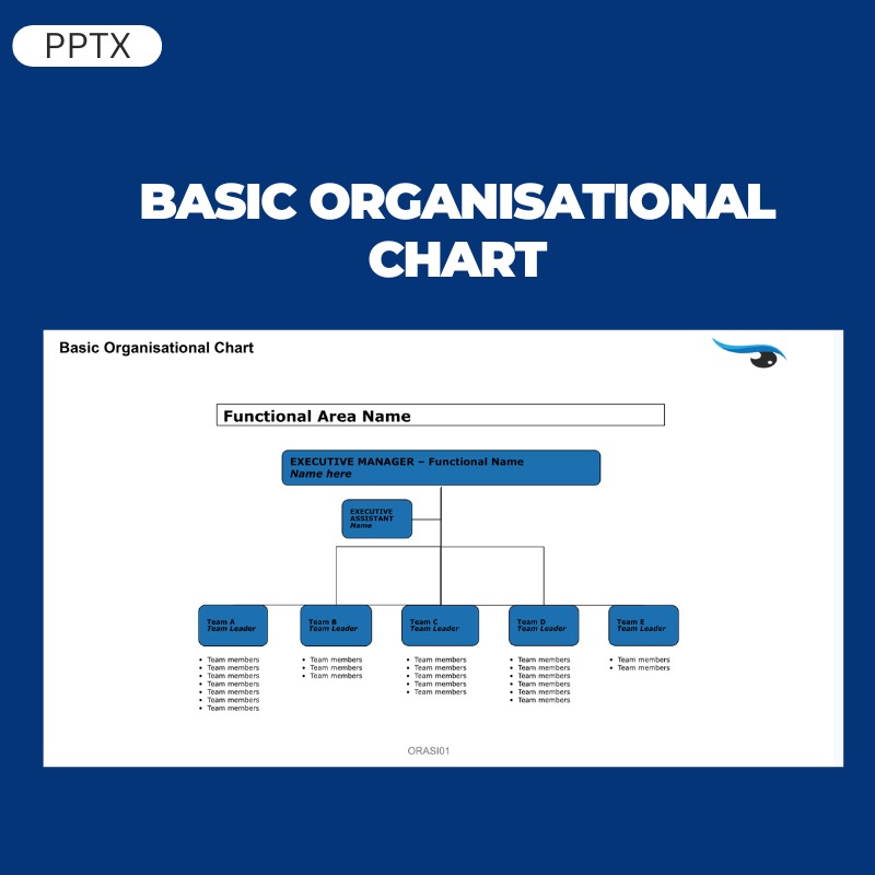 Basic Organisational Chart